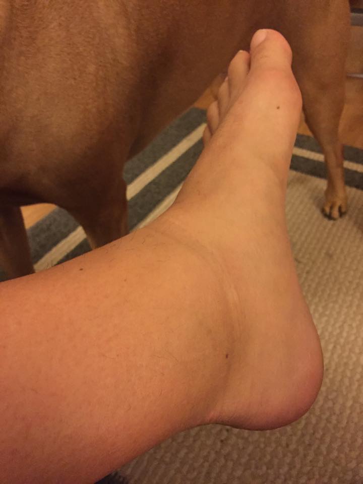 10402723_10102152945751420_1767424938318345022_n