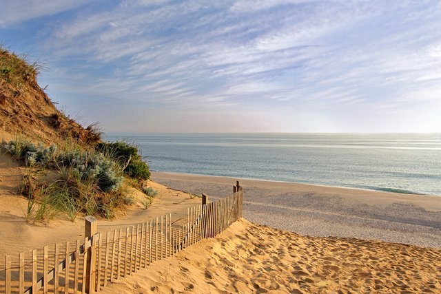 Cape Cod