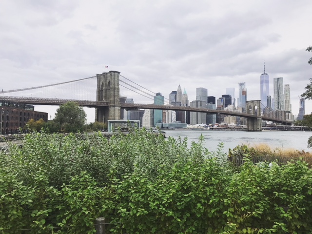 Brooklyn_5
